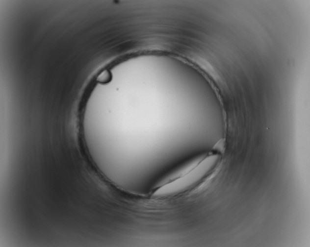 X0000091941119200709261927