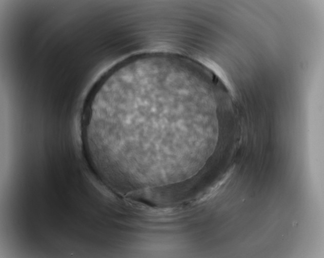 X0000091941120200709261927