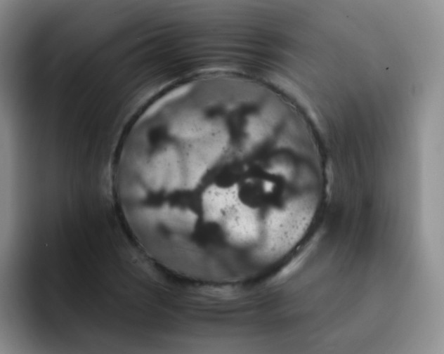 X0000091941121200709261927