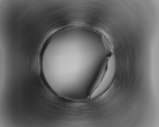 X0000091941123200709261927