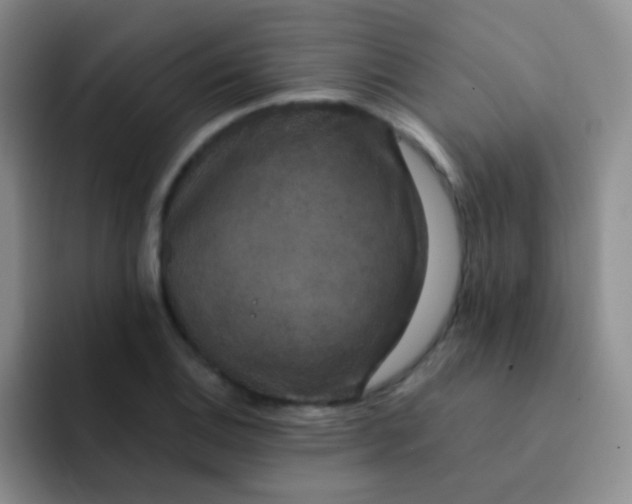 X0000091941124200709261927