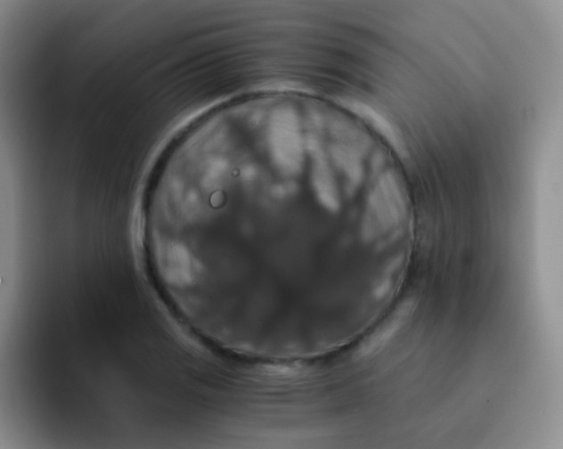 X0000091941125200709261927