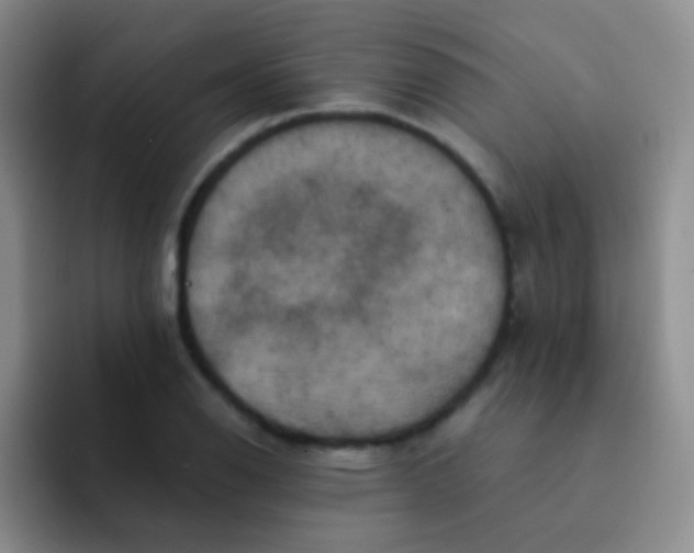 X0000091941126200709261927