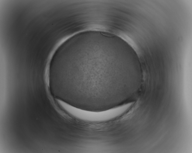 X0000091941128200709261927