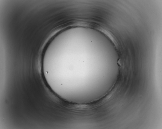 X0000091941131200709261927