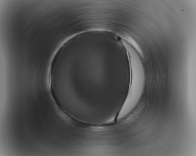 X0000091941132200709261927