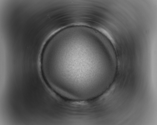 X0000091941133200709261927