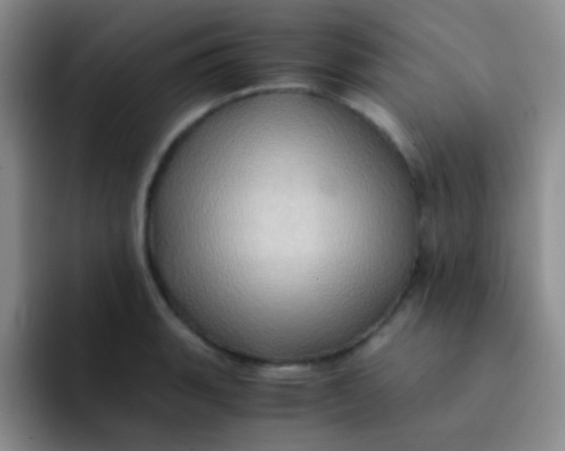 X0000091941135200709261928