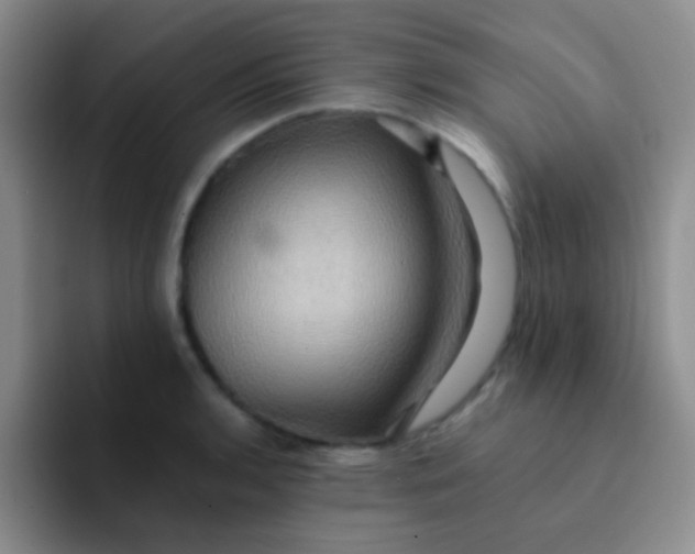 X0000091941136200709261928