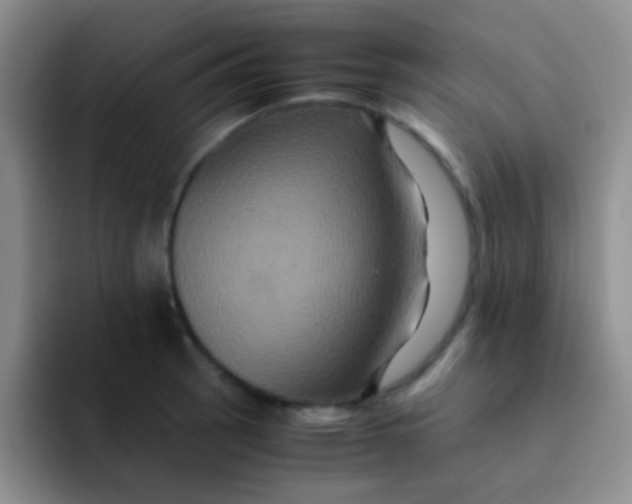 X0000091941137200709261928