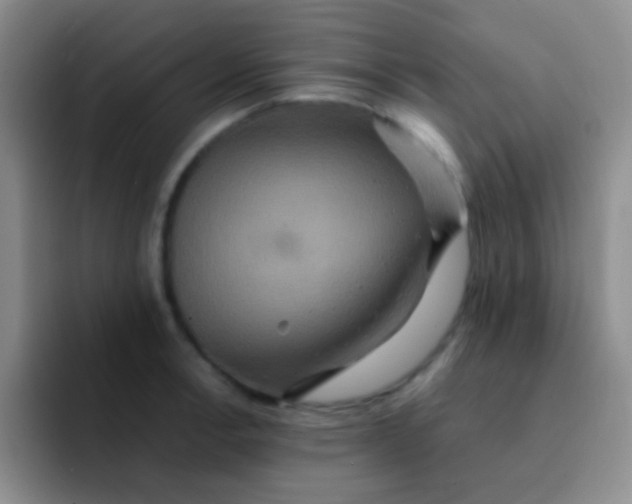 X0000091941138200709261928