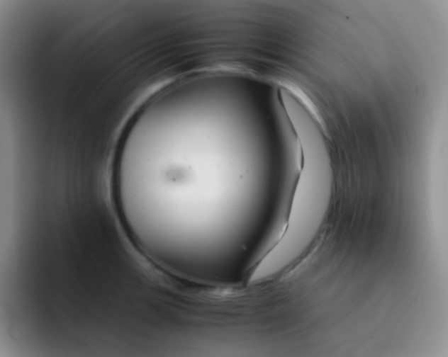 X0000091941139200709261928