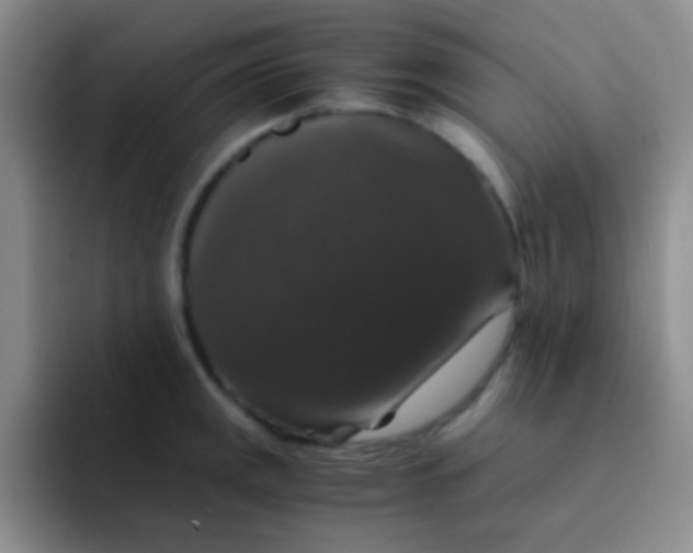 X0000091941141200709261928