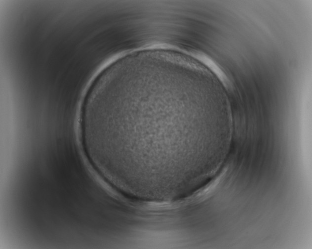 X0000091941142200709261928