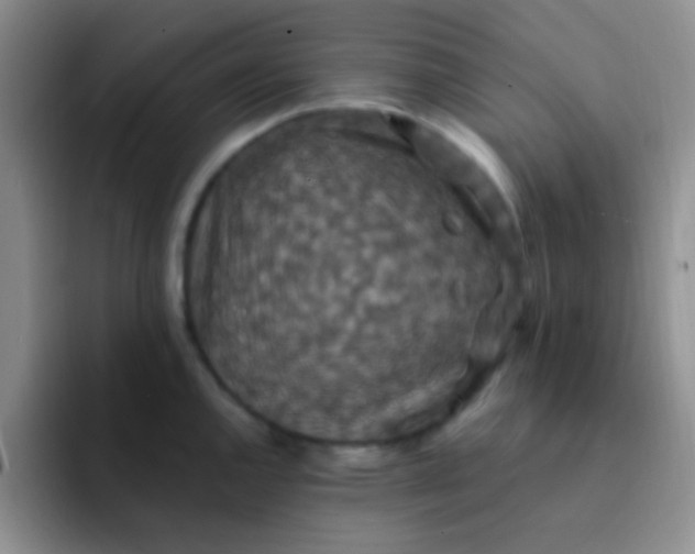 X0000091941144200709261928