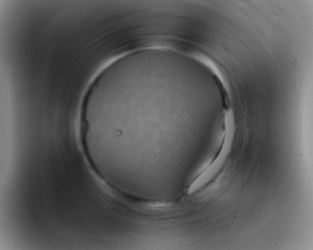 X0000091941147200709261928