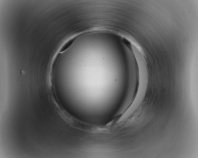 X0000091941148200709261928