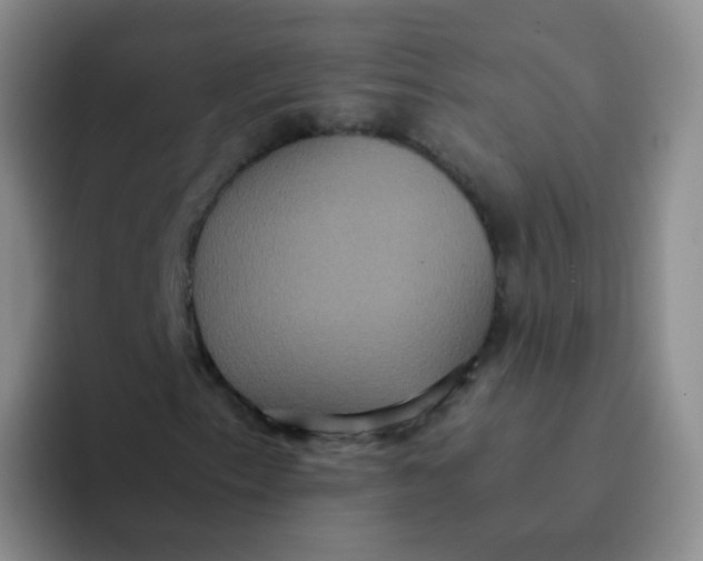 X0000091941153200709261927