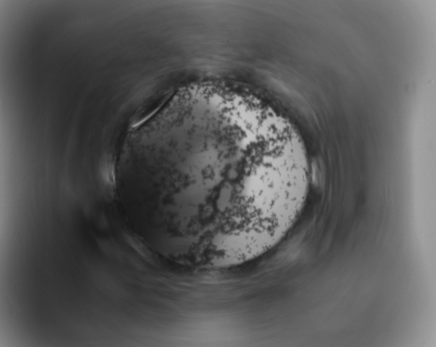 X0000091941155200709261927