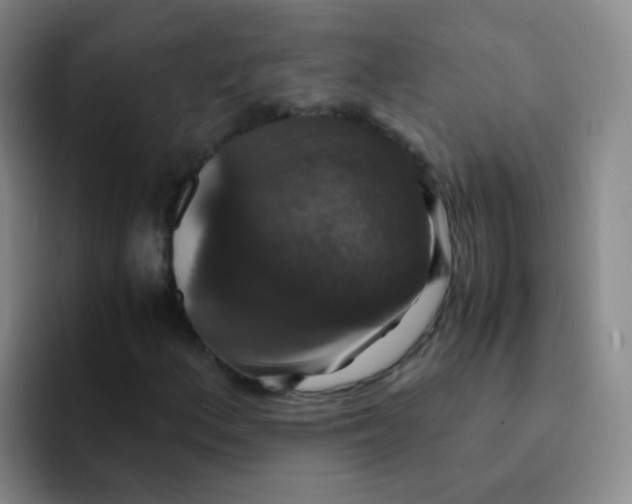 X0000091941156200709261927