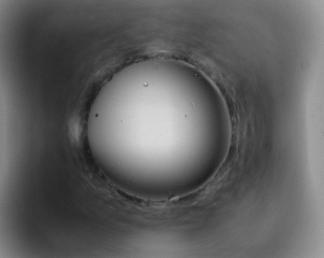 X0000091941157200709261927