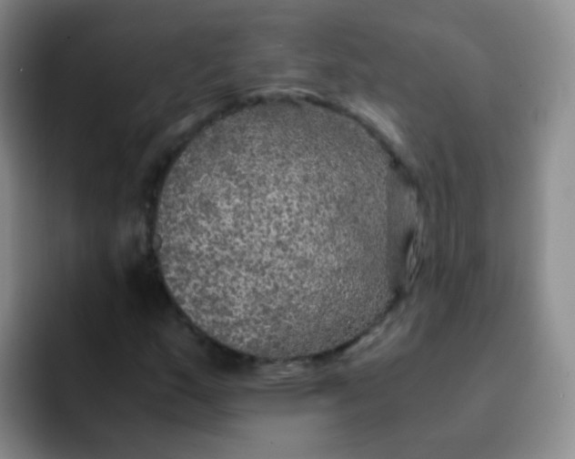 X0000091941159200709261927