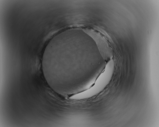 X0000091941160200709261927