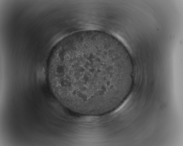 X0000091941163200709261927