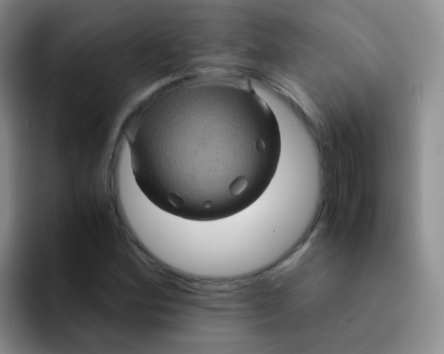 X0000091941164200709261927