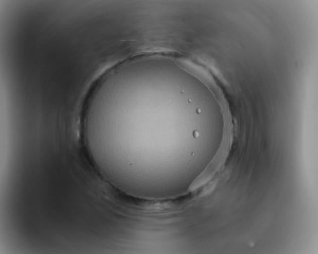 X0000091941165200709261927