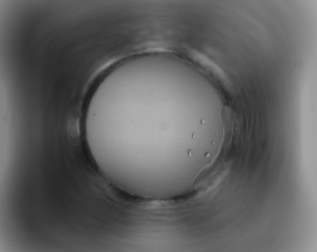 X0000091941166200709261927