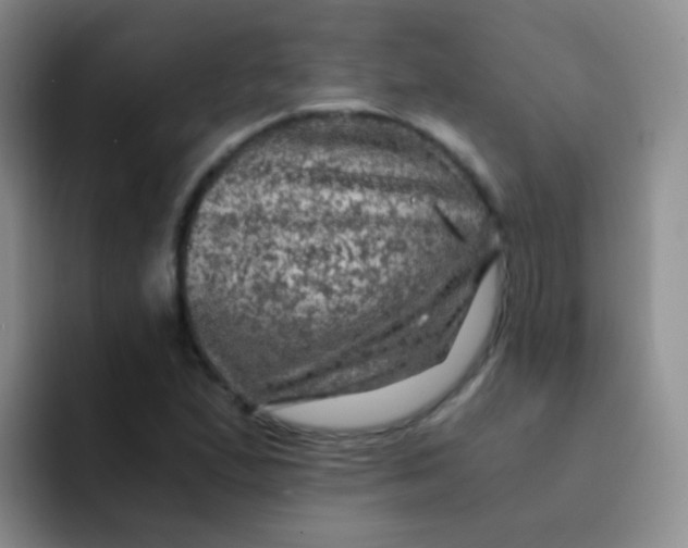 X0000091941167200709261927