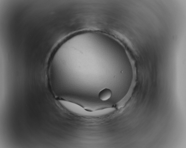 X0000091941168200709261927