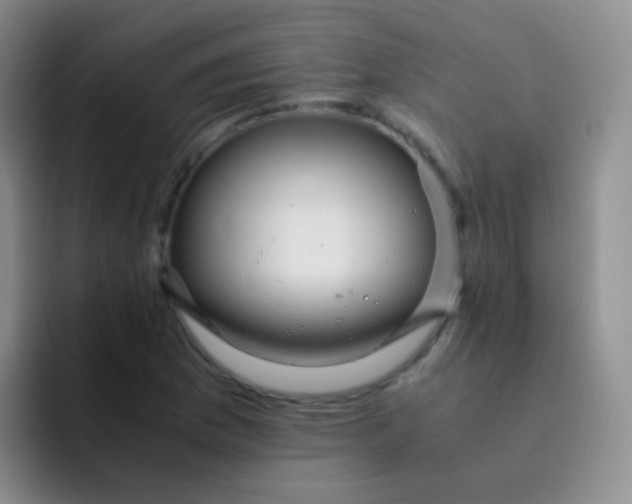 X0000091941169200709261927