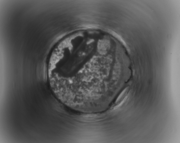 X0000091941171200709261927