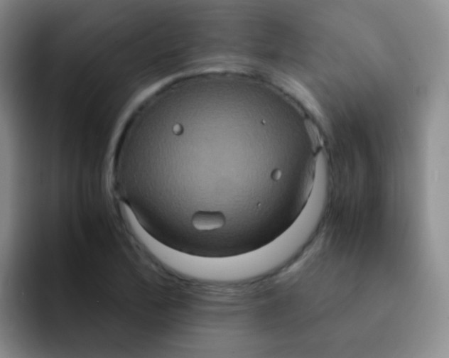 X0000091941172200709261927