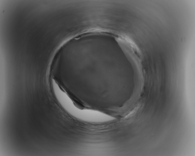 X0000091941173200709261927