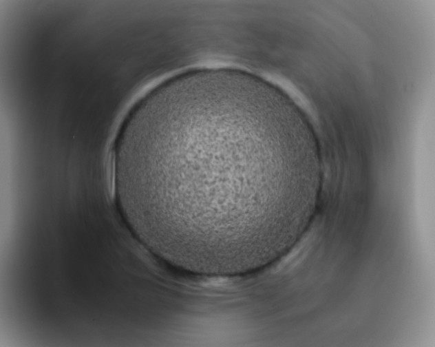 X0000091941175200709261927