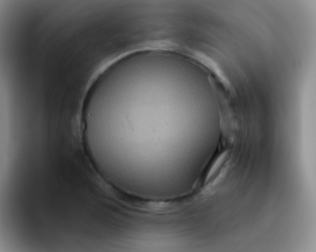 X0000091941176200709261927