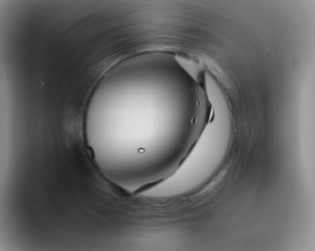 X0000091941177200709261927