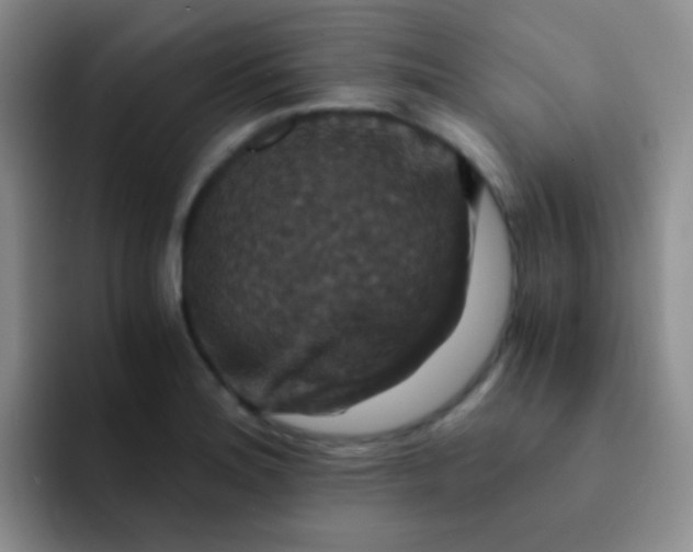 X0000091941180200709261927