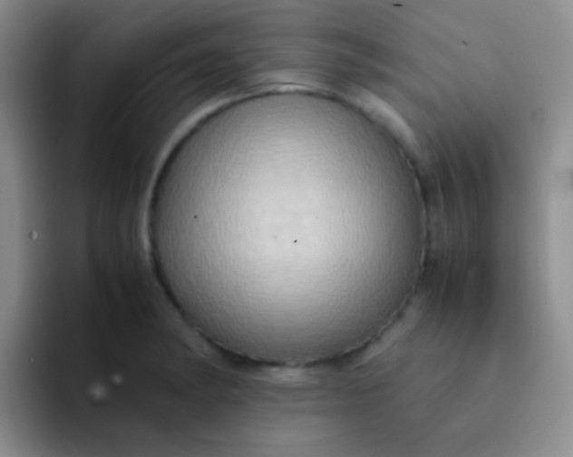 X0000091941182200709261927