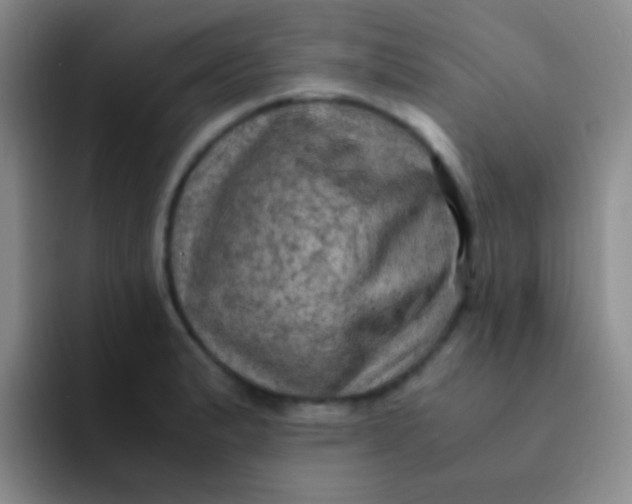 X0000091941183200709261927