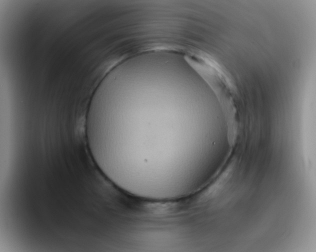 X0000091941185200709261927