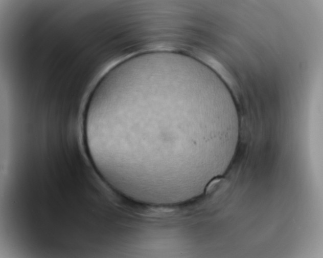 X0000091941187200709261927