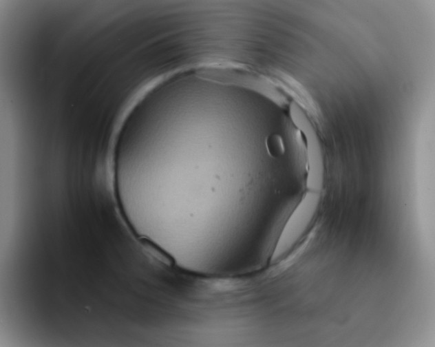 X0000091941188200709261927