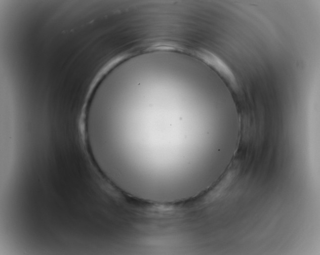 X0000091941190200709261927