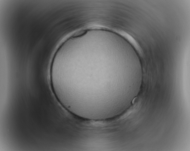 X0000091941191200709261927