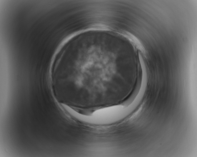 X0000091941192200709261927