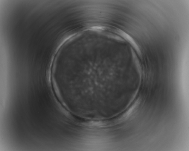 X0000091941194200709261927